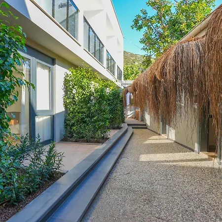 Ada Port Adults Only *