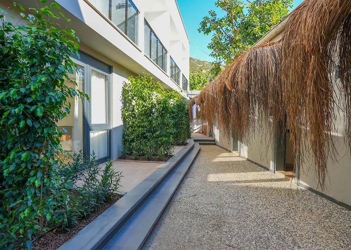 Ada Port Adults Only *